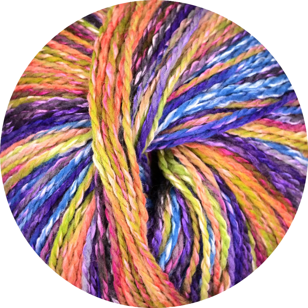 Linie 562 Punta (ONLine)