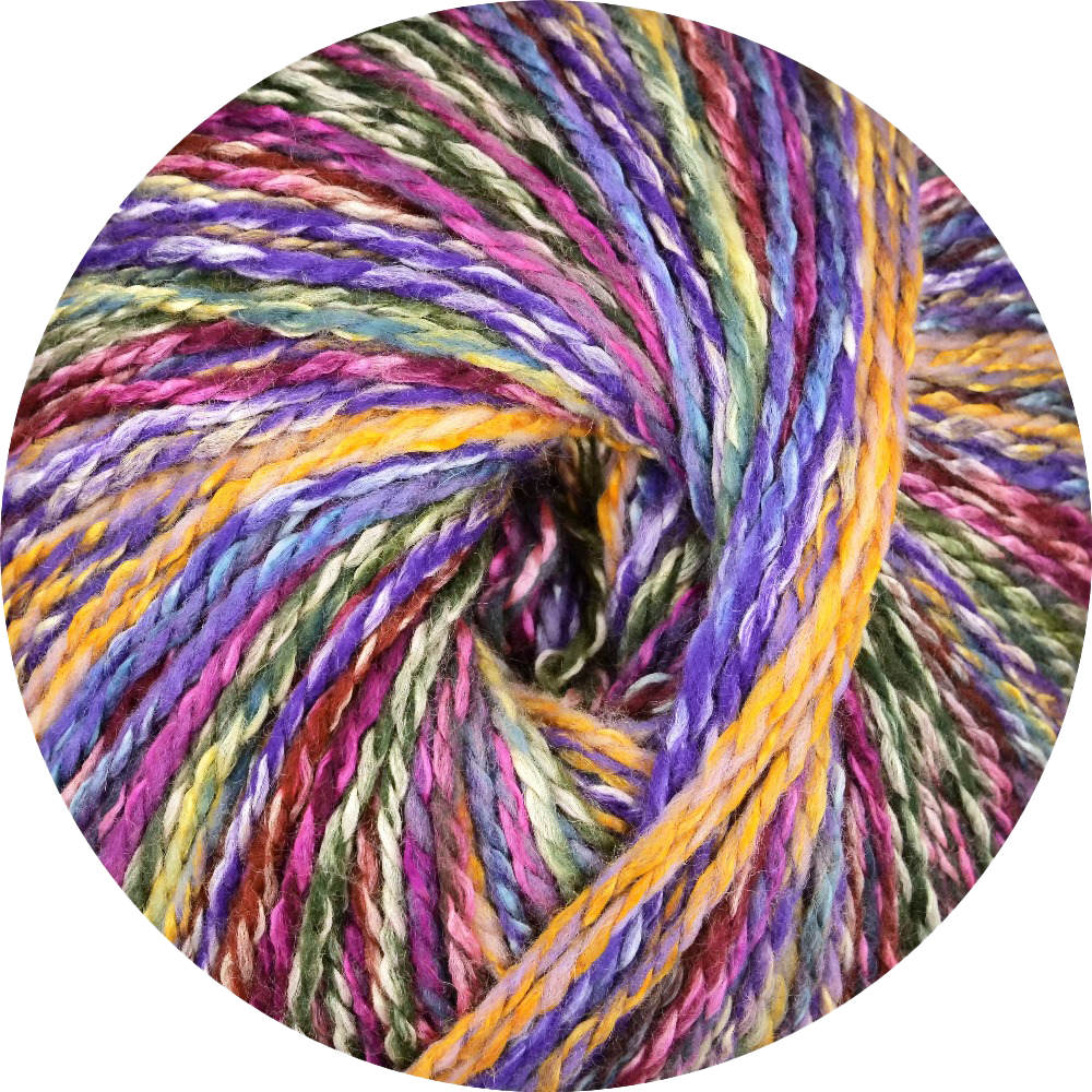 Linie 562 Punta (ONLine)
