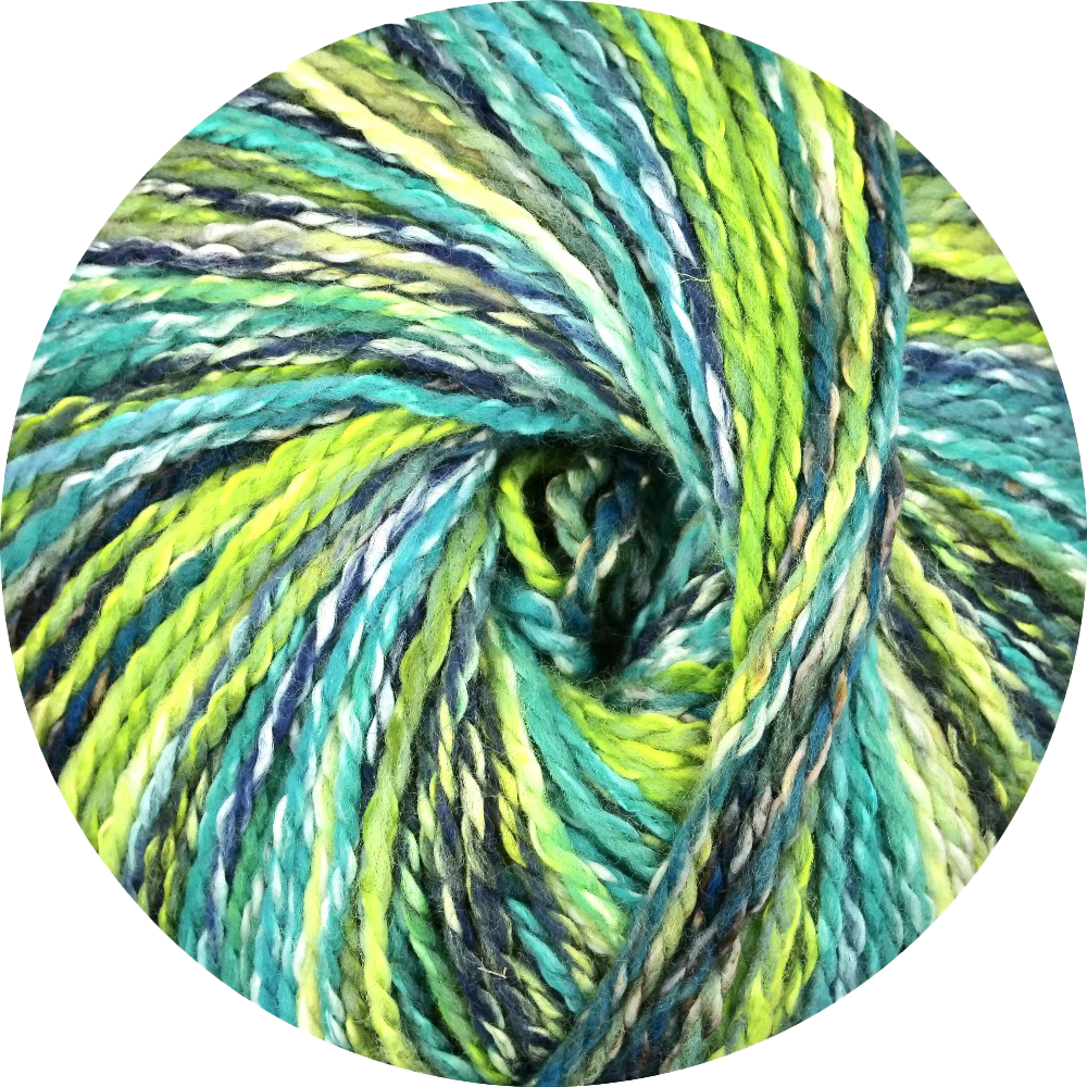Linie 562 Punta (ONLine)