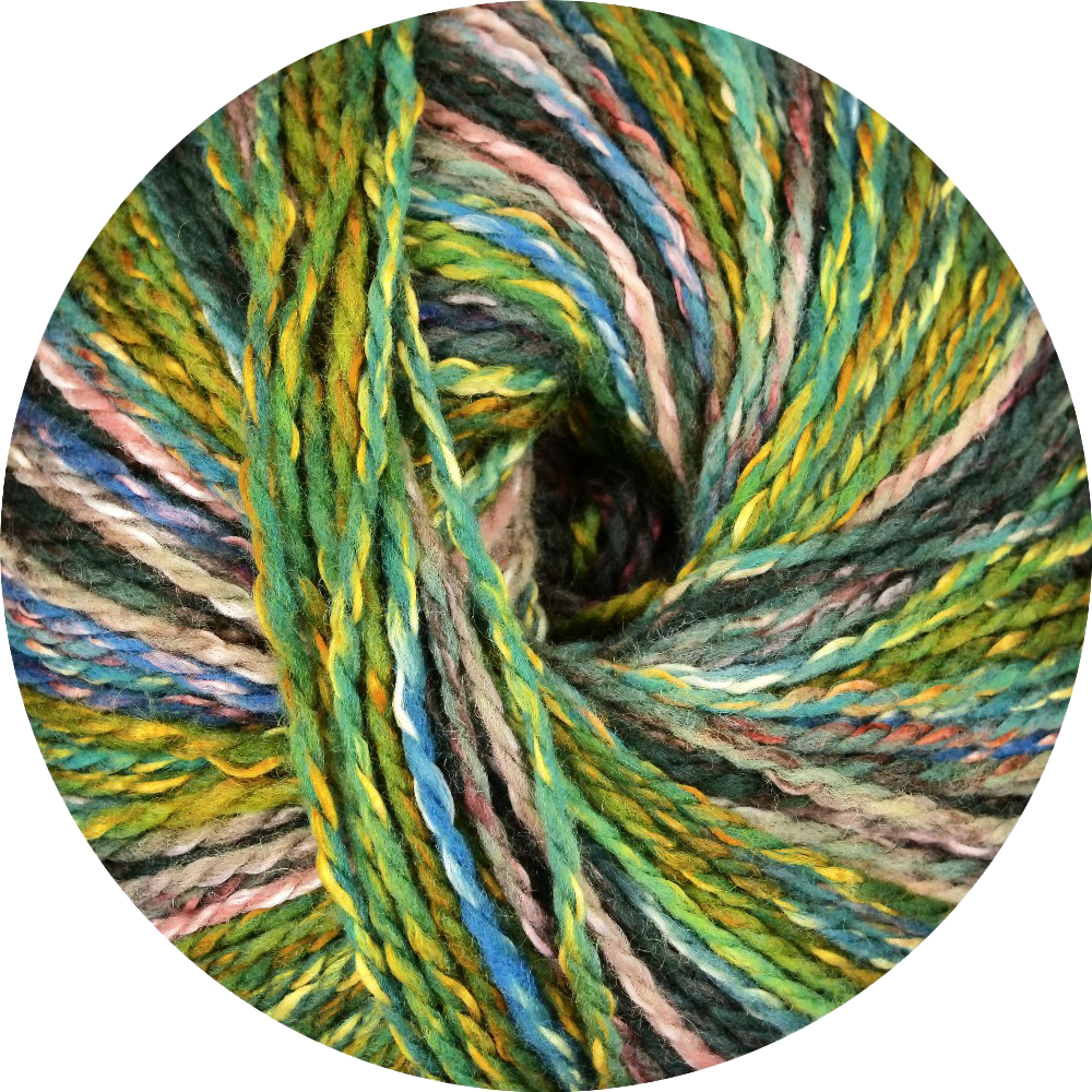 Linie 562 Punta (ONLine)