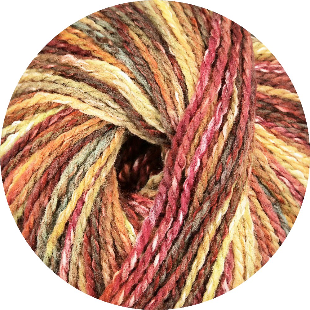 Linie 562 Punta (ONLine)